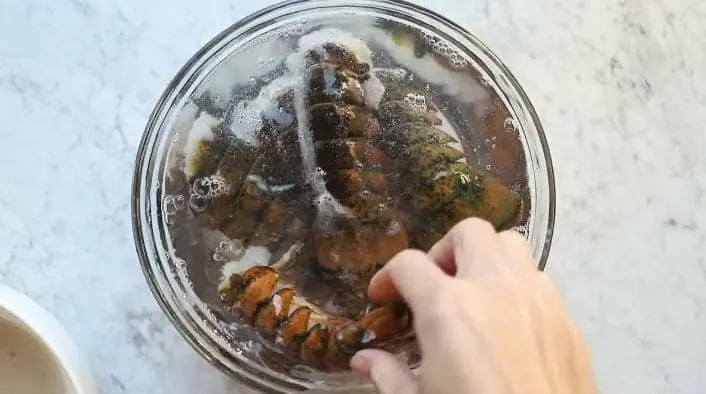 lobster meat freshness
