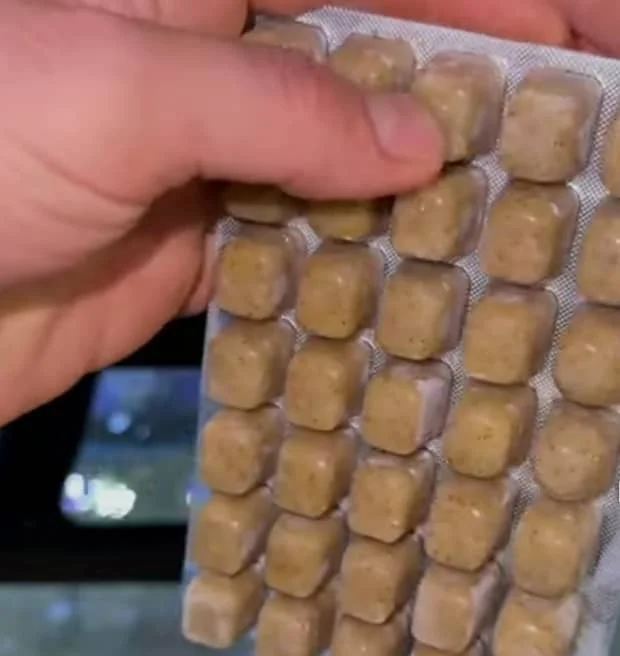 Frozen Food Packs for a starfish