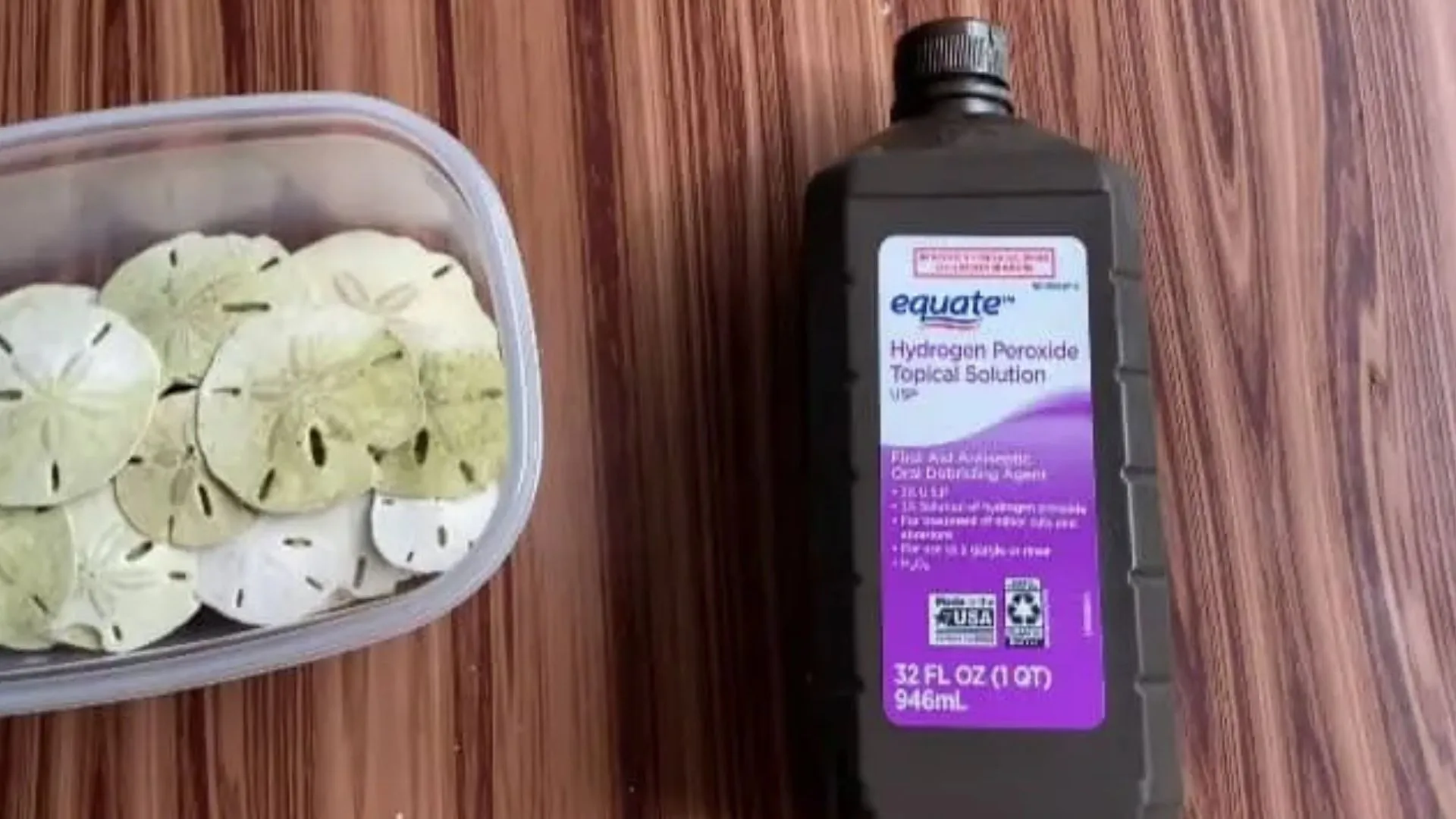 How To Clean Sand Dollars Without Bleach