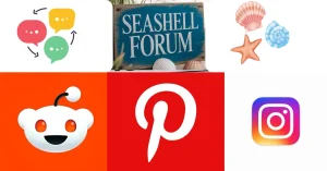 Seashell Forum, Featured Image