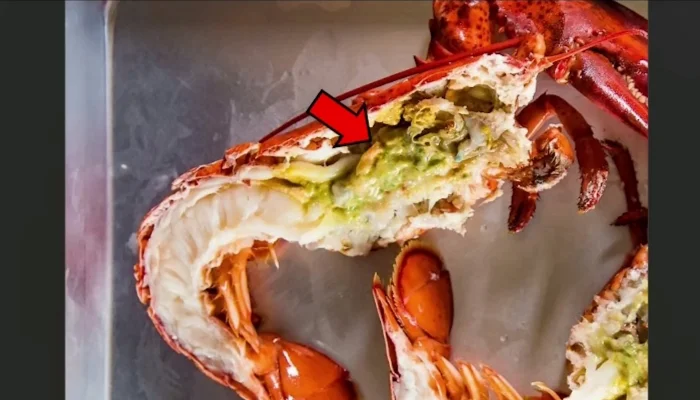 Green Tomalley of a Lobster