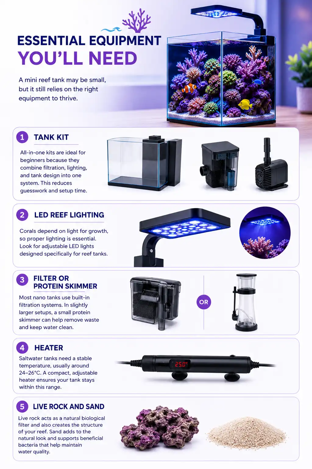 Essential Equipment You’ll Need for a mini reef tank
