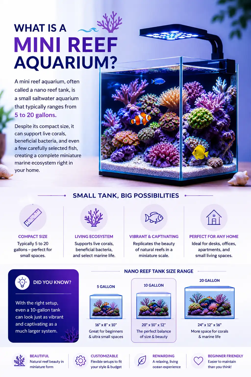 What Is a Mini Reef Aquarium