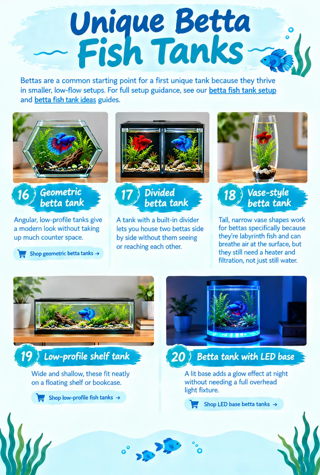 Unique Betta Fish Tanks