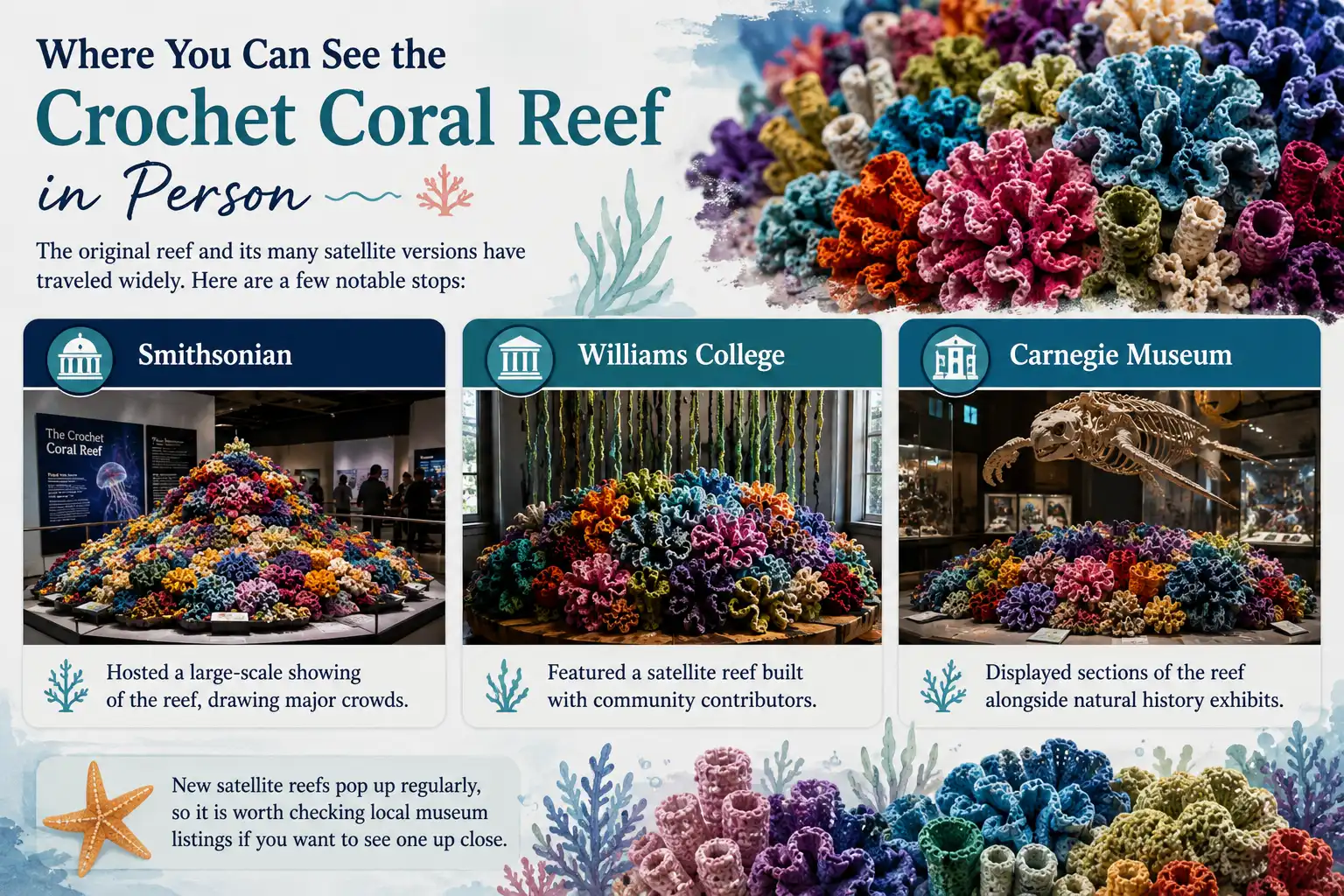 Where You Can See the Crochet Coral Reef in Person