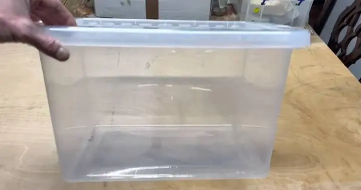 Maintenance of The Lobster Roaches Container