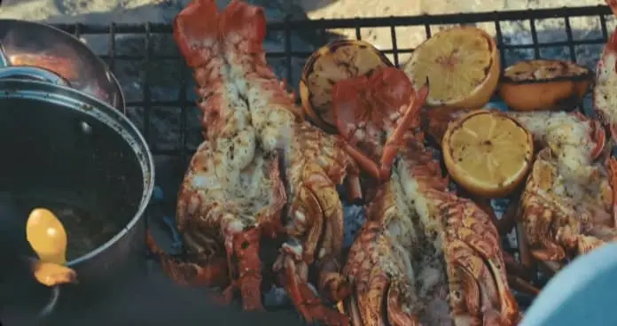 Lobster meat Nutritional Value