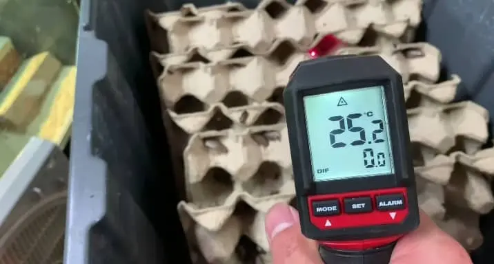 Temperature for Lobster Roaches