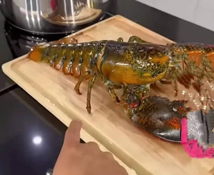What Is the Most Expensive Lobster?
