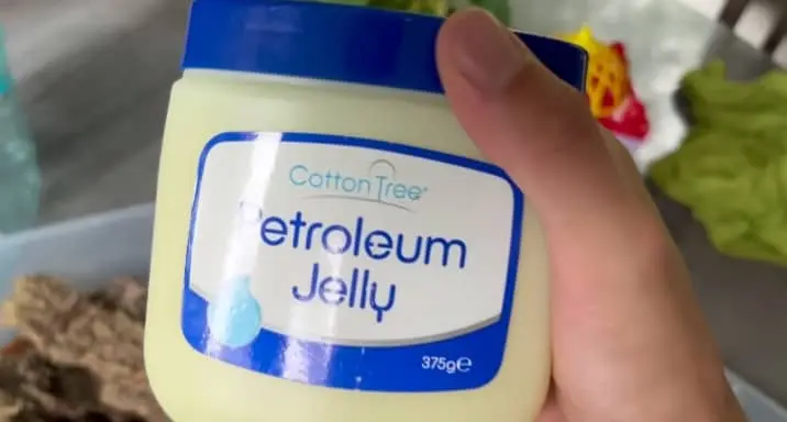 Vaseline for Lobster Roaches