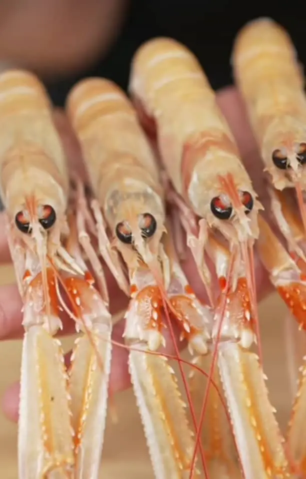 Langoustines facts