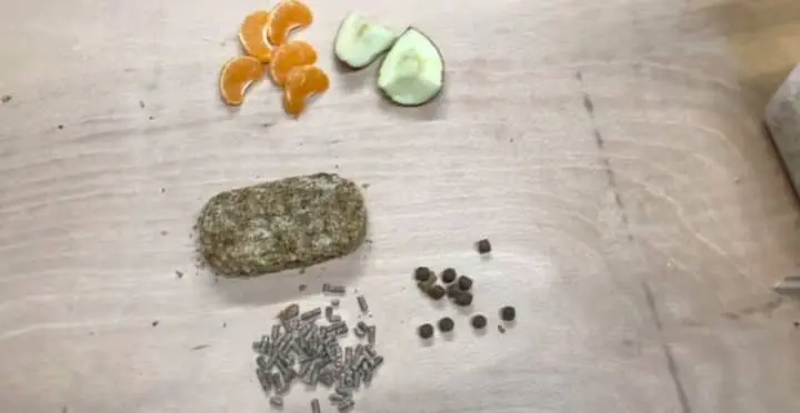 chopped food for lobster roach