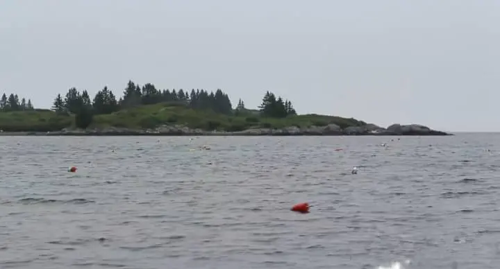 Maine ocean coastal area