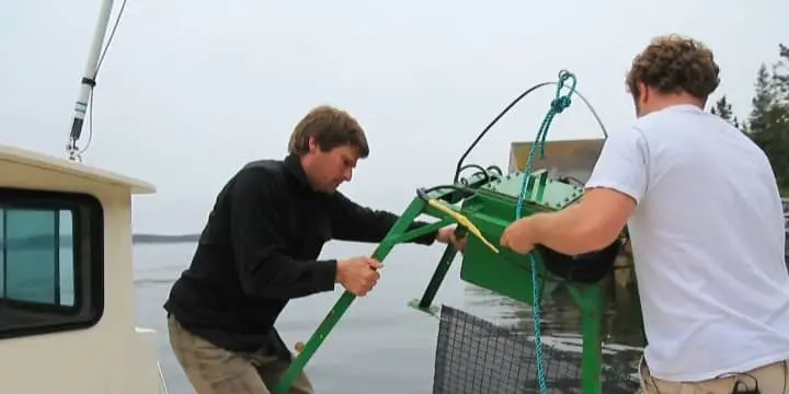 Biologist Noah with his colleague on a boat lower a green research device into the water, for a study on lobster cannibalism. Calm water and trees in the background.