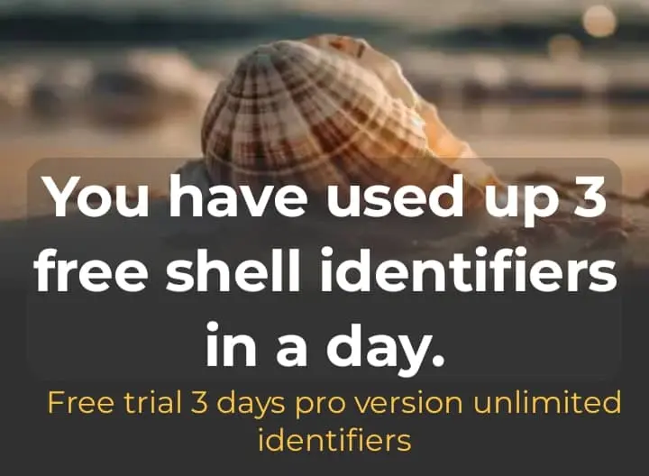 shell identifier 3 access