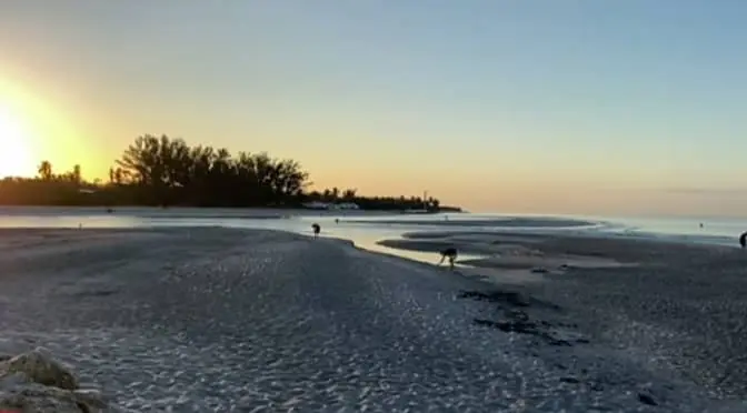 captiva island during evening