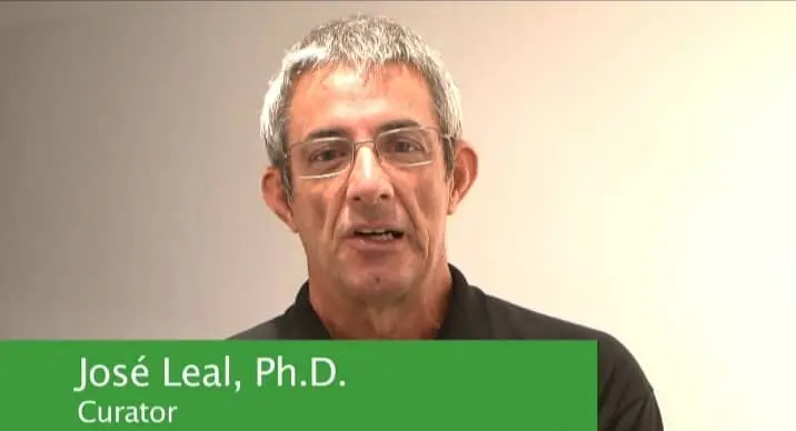Dr jose Paul