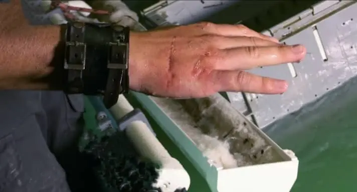 lobster pinch