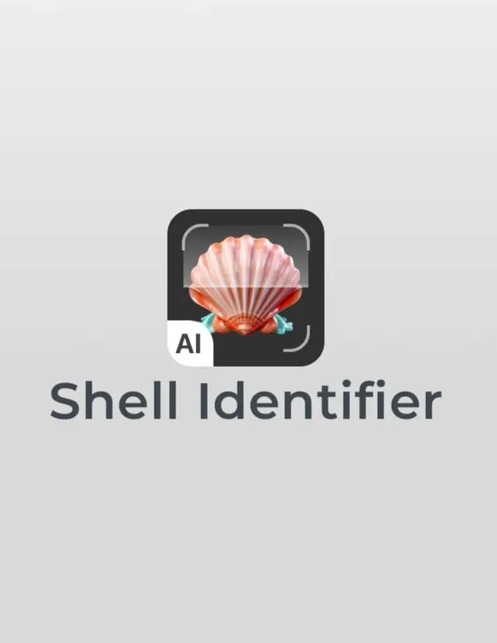 shell identifier app for seashells identification