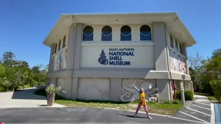 Bailey Mathews National shell Museum Florida
