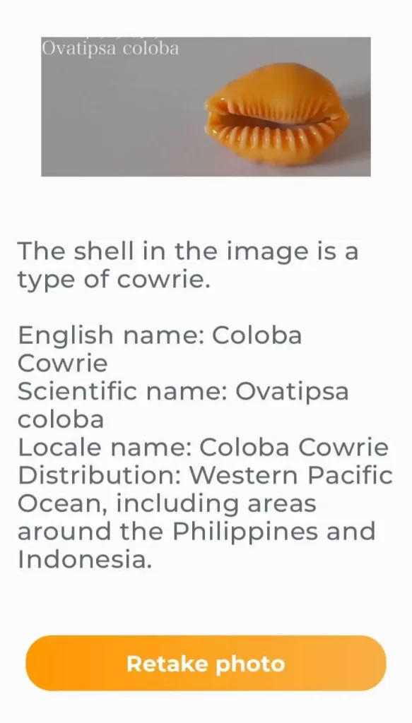 the shell identifier app for various types of seashells 