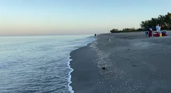 tigertail beach in morning
