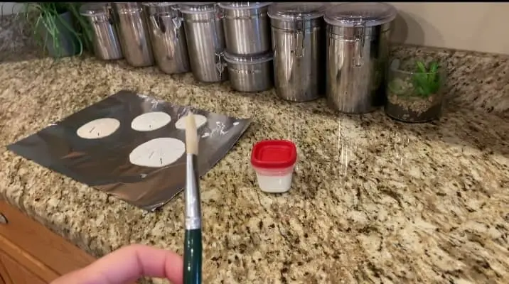 painting sand dollars with glue