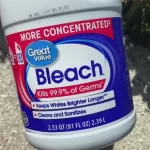 clean sand dollars with bleach