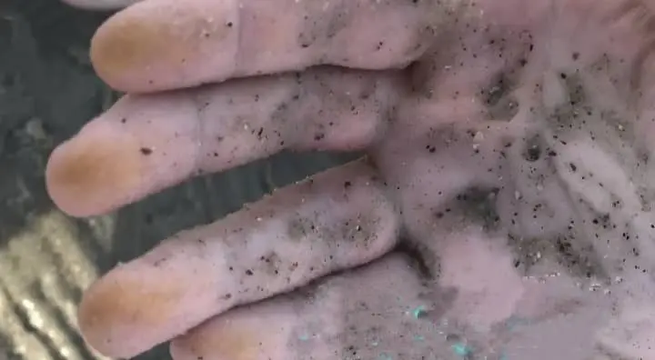 echinochrome of sand dollar