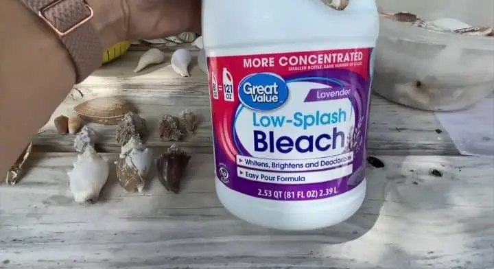 New Bleach Use For Seashells Cleaning