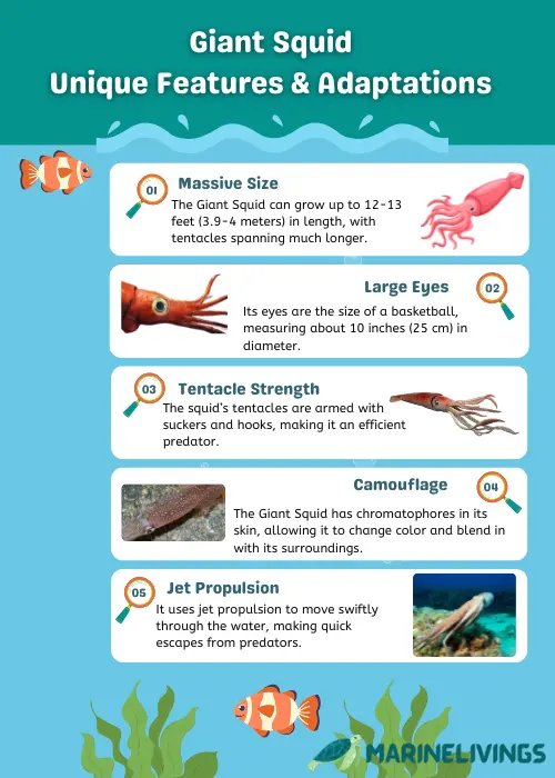 Giant Squid Features 