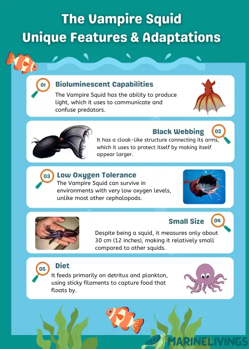 Vampire Squid