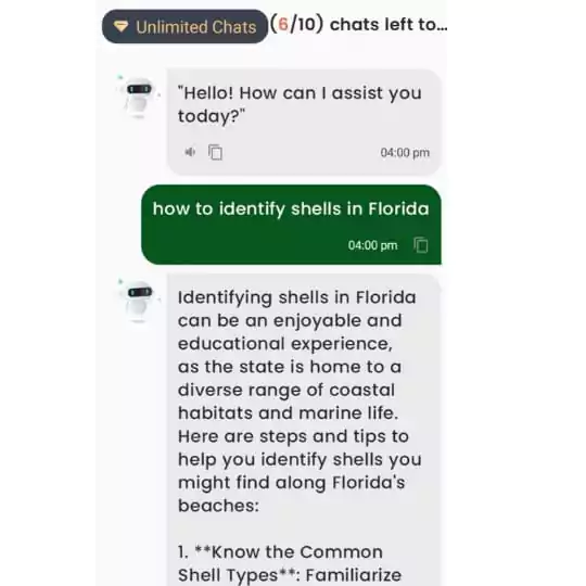 shell identifier has a wonderful AI feature called Ask Shell Expert, which allows you to get expert advice on shell identification directly within the app.