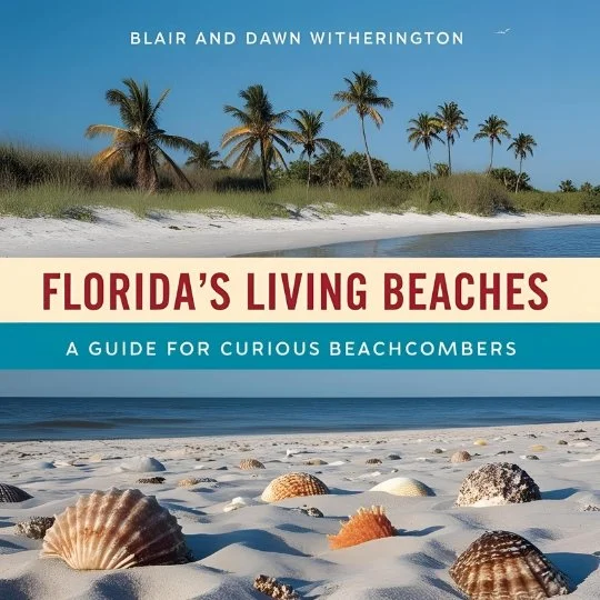10. Florida Living Beaches: A Guide For The Curious Beachcomber
