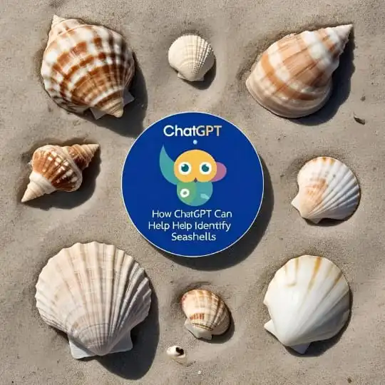 How ChatGPT Can Help Identify Seashells?
