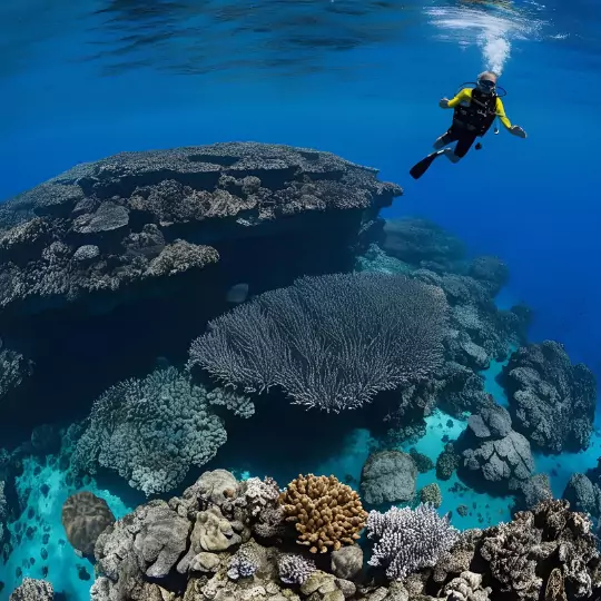 The Great Barrier Reef Massive and Marvelous