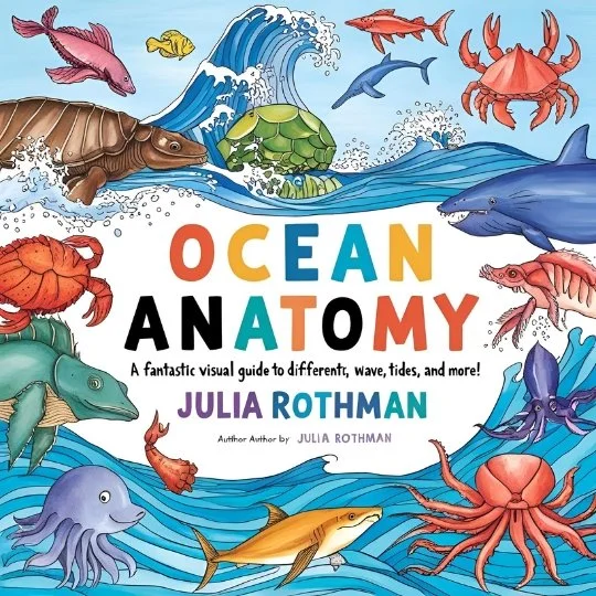 ocean anatomy book by Julia Rothman