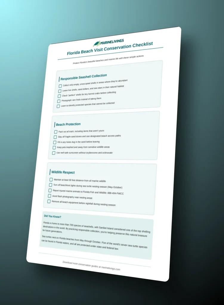 Florida Beach Visit Marine Conservation Checklists