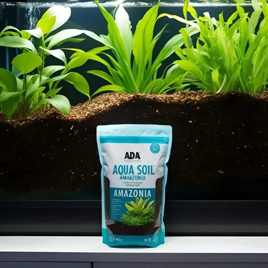 ADA Aqua Soil Amazonia as substrate in an aquarium