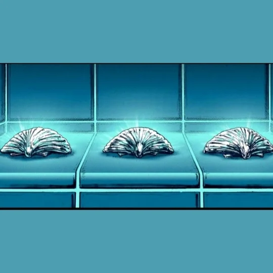 How to Use the Three Seashells?