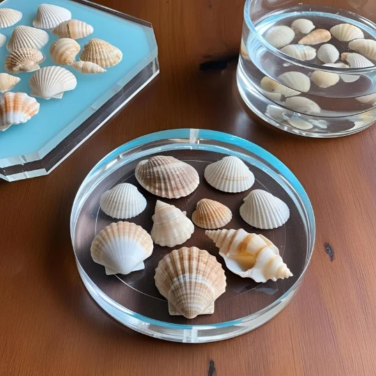 Seashell Resin Art
