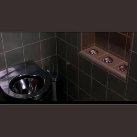 Where Did the Three Seashells Come From?