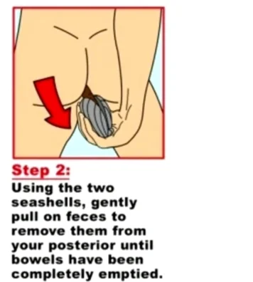 what are the 3 seashells in the bathroom for