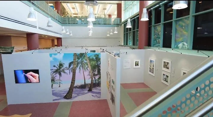 Clearwater Main Library,Clearwater Florida