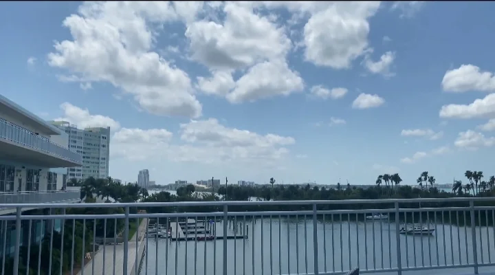 Clearwater Marine Aquarium water