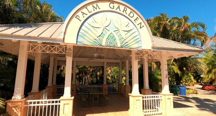 Palm Garden near Clearwater Florida