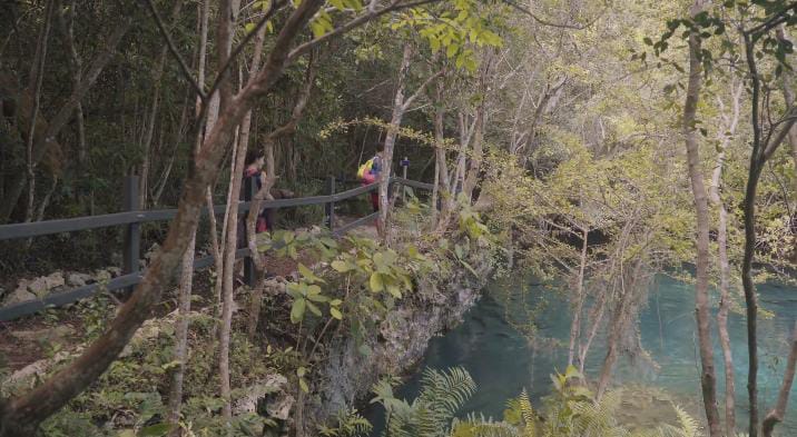Kid Friendly Hiking in Clearwater, Florida