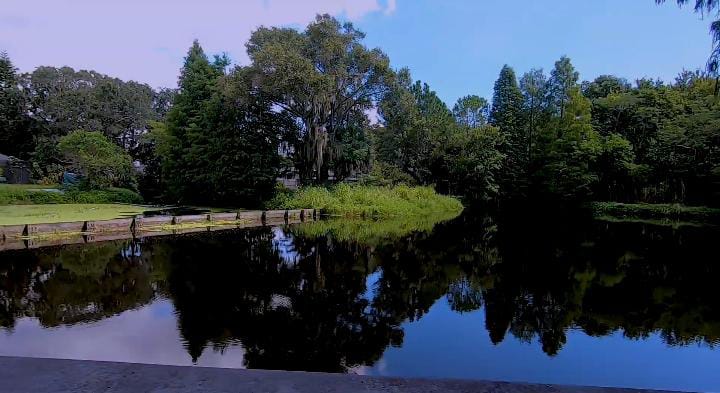 Moccasin Lake Nature Park view, Clearwater Florida