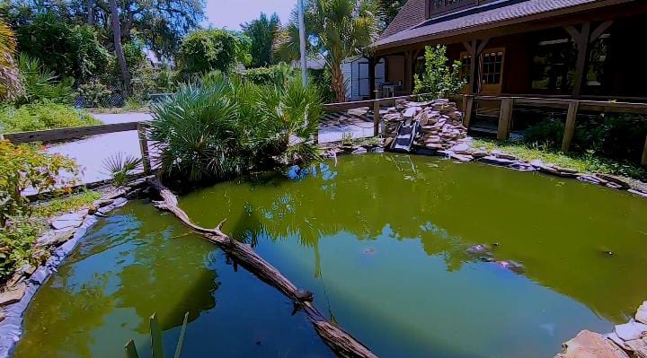Moccasin Lake Nature Park water, Clearwater Florida