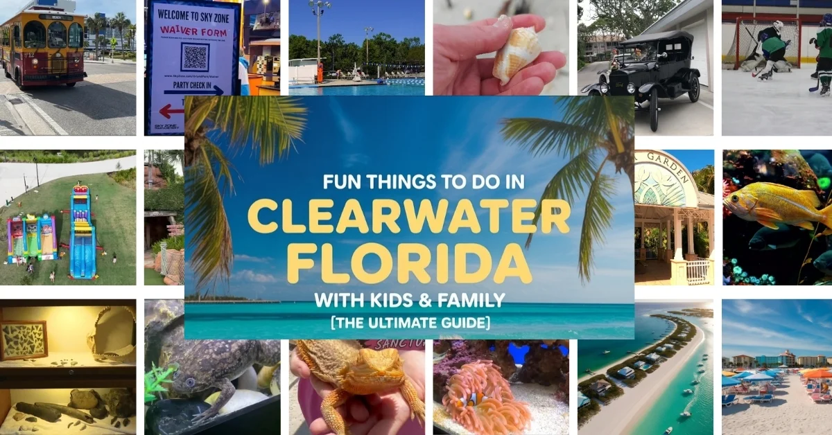 Things to do in clearwater Florida
